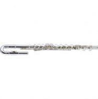 J.Michael Flute Outfit (curved & straight head)