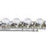 J.Michael Flute Outfit (curved & straight head)