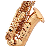 CONN AS650D Alto Saxophone